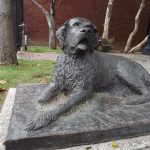 Bum the Dog – Gaslamp Quarter Historical Foundation